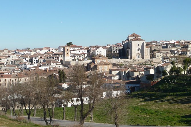 Madrid Countryside Wineries Guided Tour with Wine Tasting - Why Madrid’s wine region makes a good day trip