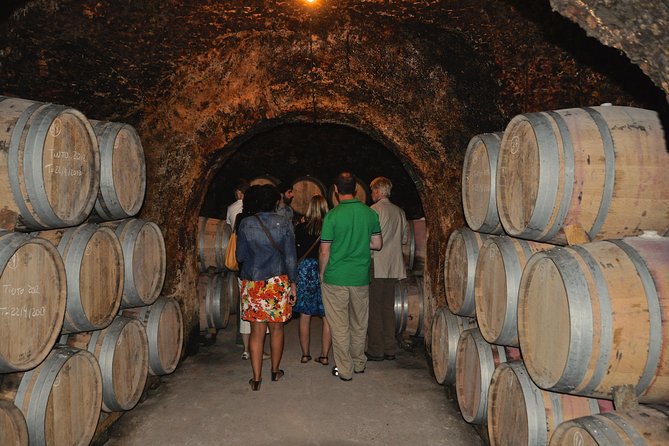 Madrid Countryside Wineries Guided Tour with Wine Tasting - The guides are a major part of the experience