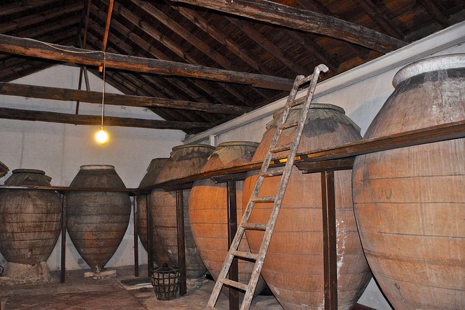 Madrid Countryside Wineries Guided Tour with Wine Tasting - Wine, food, and the pace of the day