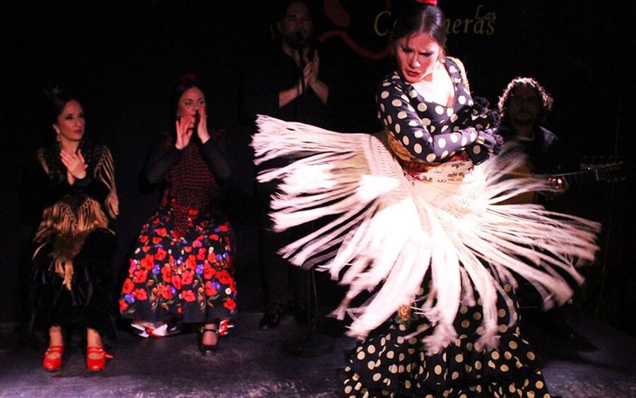 Madrid: Flamenco Show with Tapas and Wine Tour - Meeting Plaza de San Miguel and entering La Latina