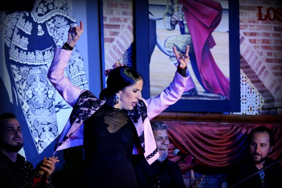 Madrid: Los Porches Flamenco Show with Tapas and Wine Ticket - A Madrid flamenco night with more room than a classic tablao