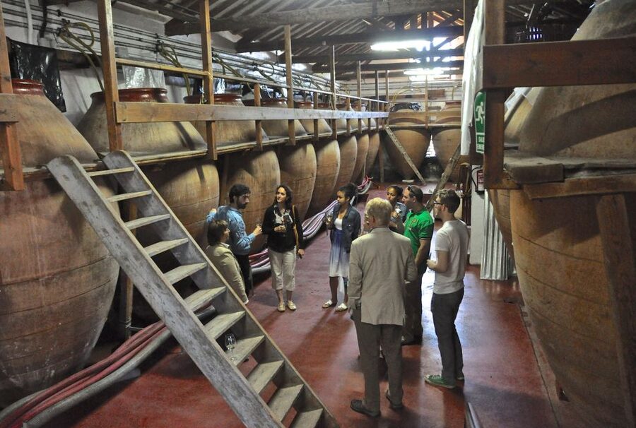 Madrid Region Wineries Guided Tour with Wine Tastings - What you will actually taste and eat