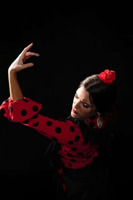 Malaga: Authentic Flamenco Dinner Show at Vino Mio - A one-hour introduction to flamenco in Malaga