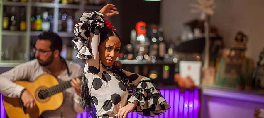 Malaga: Authentic Flamenco Dinner Show at Vino Mio - The restaurant setting has real advantages and limits