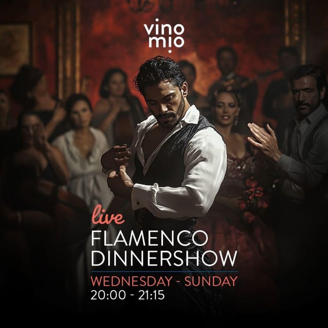 Malaga: Authentic Flamenco Dinner Show at Vino Mio - Arriving at Vino Mio between 7:00 and 7:30 PM