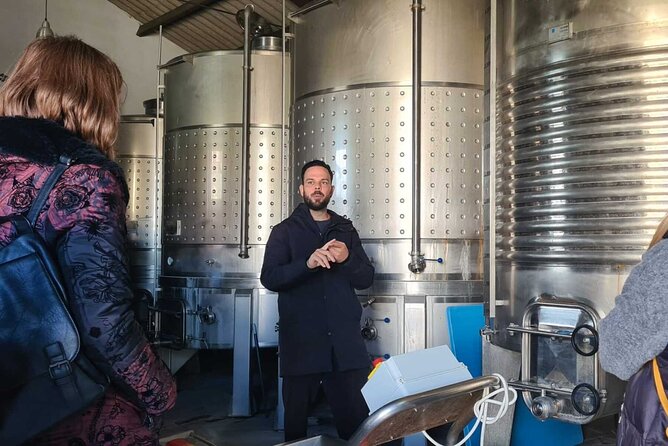 Malaga Organic Vineyard and Winery Six Wines Tapas and Transfer - What makes the small group work
