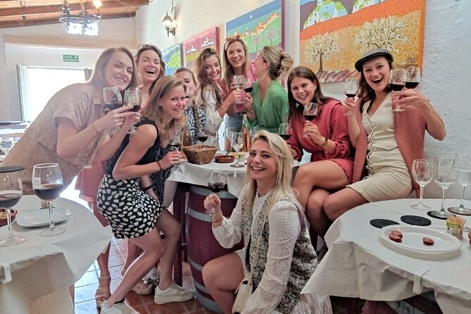 Malaga Organic Vineyard and Winery Six Wines Tapas and Transfer - Who should book this Malaga wine tour?