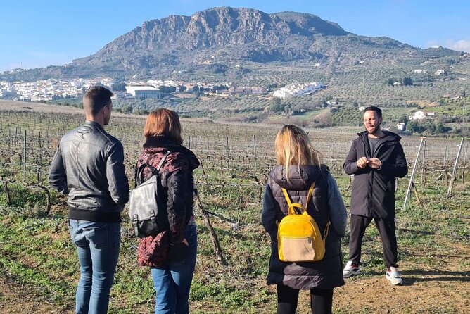 Malaga Organic Vineyard and Winery Six Wines Tapas and Transfer - Booking, meeting point, and cancellation details