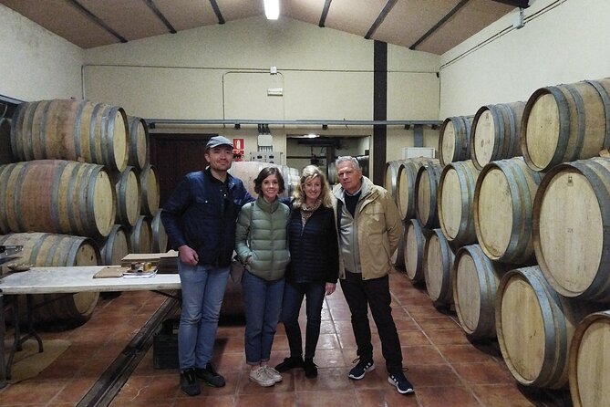Malaga Organic Vineyard and Winery Six Wines Tapas and Transfer - The vineyard at 400 meters above the sea