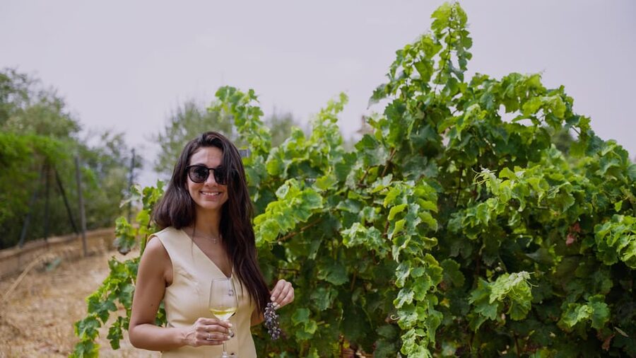 Malaga: Organic Vineyard Tour with 6 Wines, Tapas & Transfer - Key points at a glance