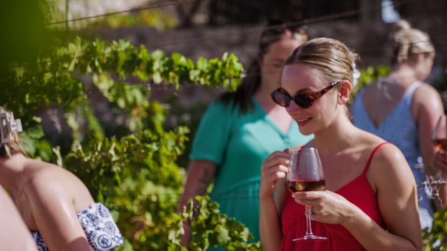 Malaga: Organic Vineyard Tour with 6 Wines, Tapas & Transfer - From Plaza de la Marina to the Málaga hills