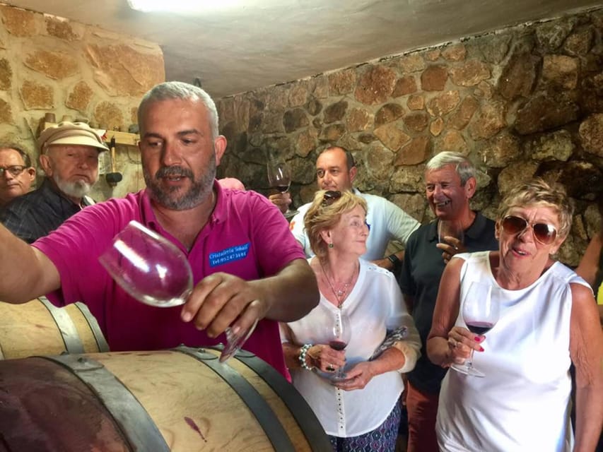 Malaga: Organic Vineyard Tour with 6 Wines, Tapas & Transfer - How the group size shapes the afternoon