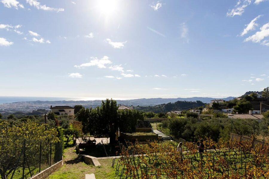 Malaga: Organic Vineyard Tour with 6 Wines, Tapas & Transfer - Should you book it?