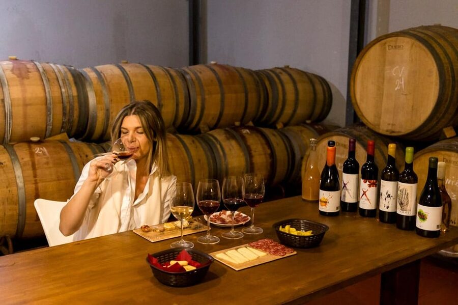 Malaga: Organic Vineyard Tour with 6 Wines, Tapas & Transfer - Viñedo Malvajio: a small vineyard with a personal feel