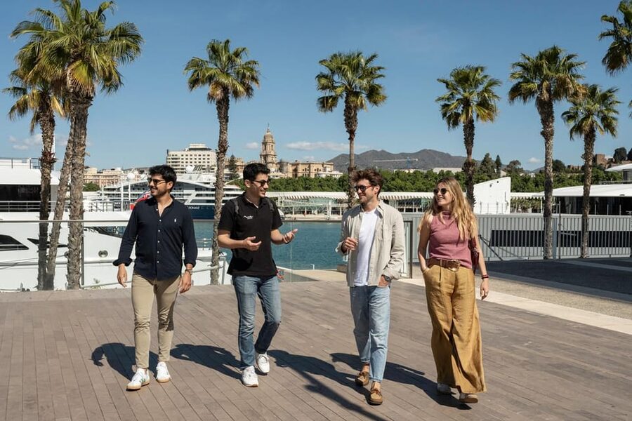 Málaga: Tapas, Wine & Rooftops Private Tour - What $283 buys you