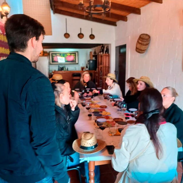 Malaga: White Village, Vineyard, and Wine Tasting Wine Tour - Walking among the vines
