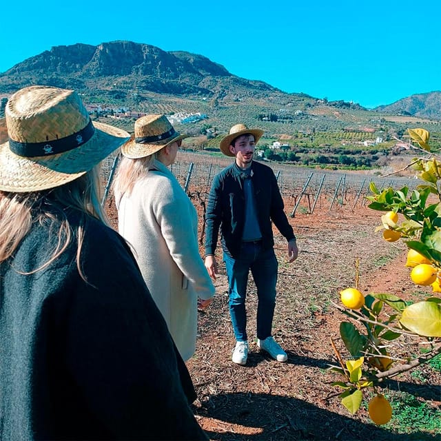 Malaga: White Village, Vineyard, and Wine Tasting Wine Tour - What the small group changes