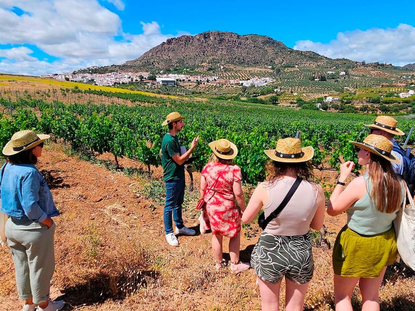 Malaga: White Village, Vineyard, and Wine Tasting Wine Tour - Meeting the van along the Costa del Sol
