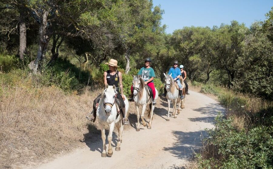 Mallorca: Horseback Riding Excursion and Wine Tasting - The tasting at Ranxo Ses Roques