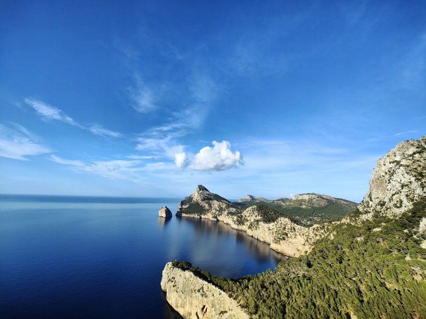 Mallorca: Premium Wine Experience, Tasting and Fine Foods - A small winery with a strong sense of place