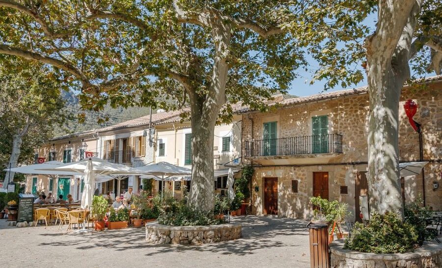 Mallorca: Premium Wine Experience, Tasting and Fine Foods - What the two to two-and-a-half-hour visit actually includes