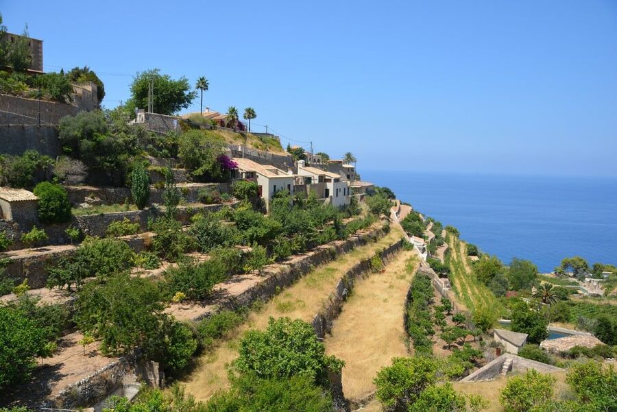 Mallorca: Premium Wine Experience, Tasting and Fine Foods - The barrel cellar is the memorable stop