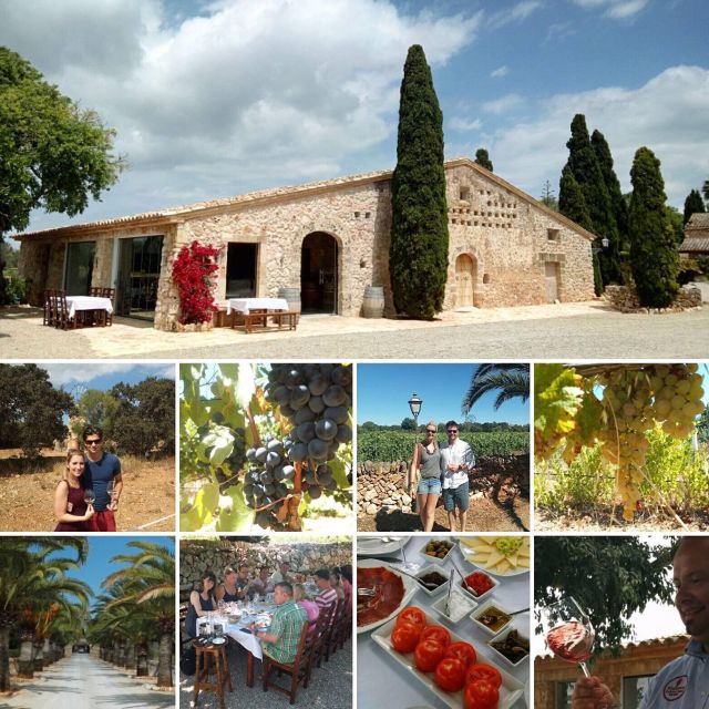 Mallorca: Private Wine Tour with Tasting and Picnic - Inside the winery with the winemaker