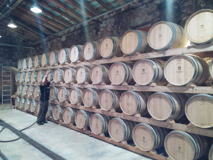 Mallorca: Private Wine Tour with Tasting and Picnic - Tasting Mallorquin wines with tapas