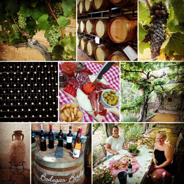 Mallorca: Private Wine Tour with Tasting and Picnic - Who will enjoy this Mallorca wine tour?