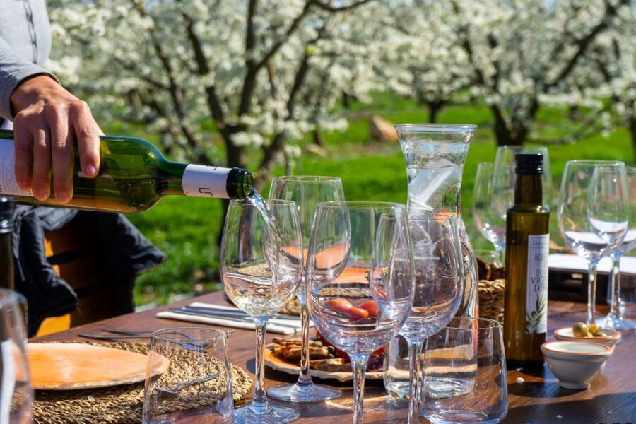 Mallorcas Emblematic Wineries Small Group Tour, two wineries - A full day in Mallorca’s wine country