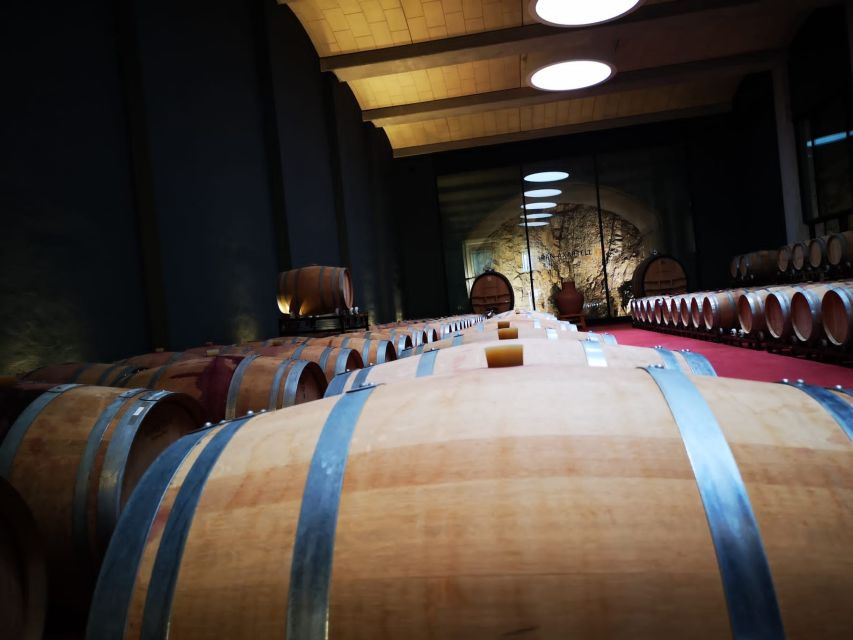 Mallorcas Emblematic Wineries Small Group Tour, two wineries - From Palma to Santa Maria del Camí