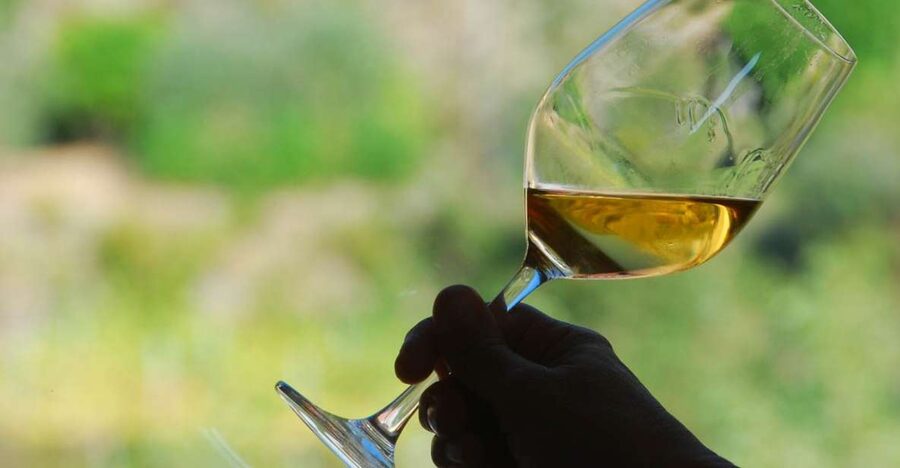 Manarola: Cinque Terre Wine Tasting - A wine tasting in Manarola’s old cellar