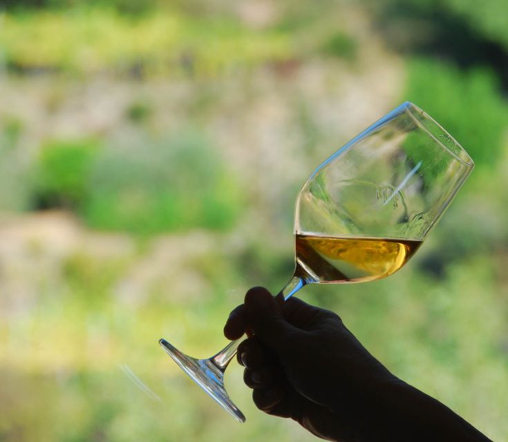 Manarola: Cinque Terre Wine Tasting - Finishing with Sciacchetrà