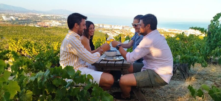 Manilva: Nilva Vineyard, Wine Tasting & Tapas Guided Tour - Key points to know before booking