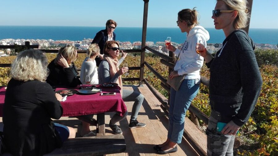 Manilva: Nilva Vineyard, Wine Tasting & Tapas Guided Tour - Seeing how Nilva makes its wine