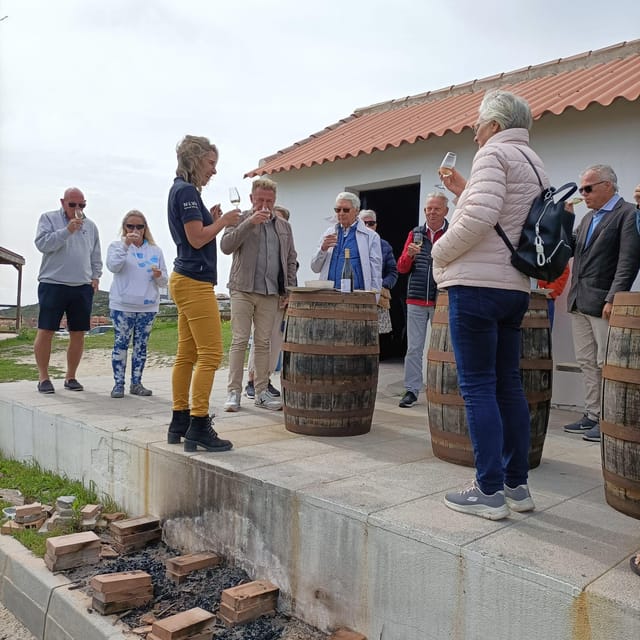Manilva: Nilva Vineyard, Wine Tasting & Tapas Guided Tour - The short journey to Viña del Peñoncillo