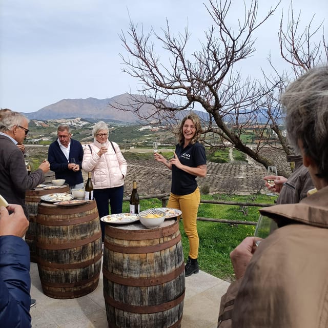Manilva: Nilva Vineyard, Wine Tasting & Tapas Guided Tour - Tasting three or four wines with tapas