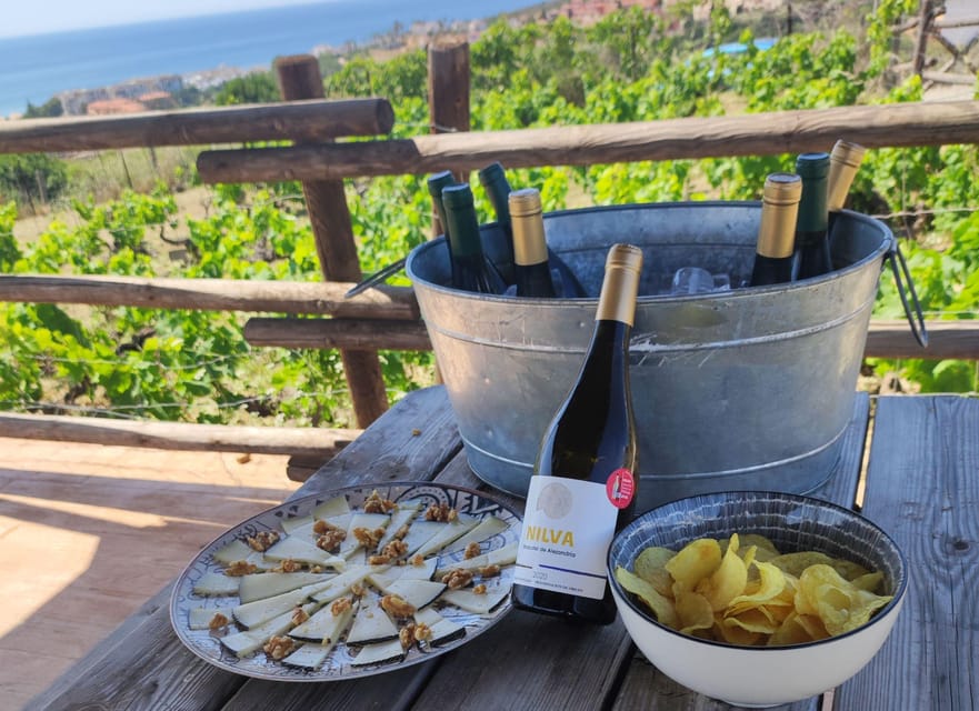 Manilva: Nilva Vineyard, Wine Tasting & Tapas Guided Tour - Timing, weather, and useful planning advice