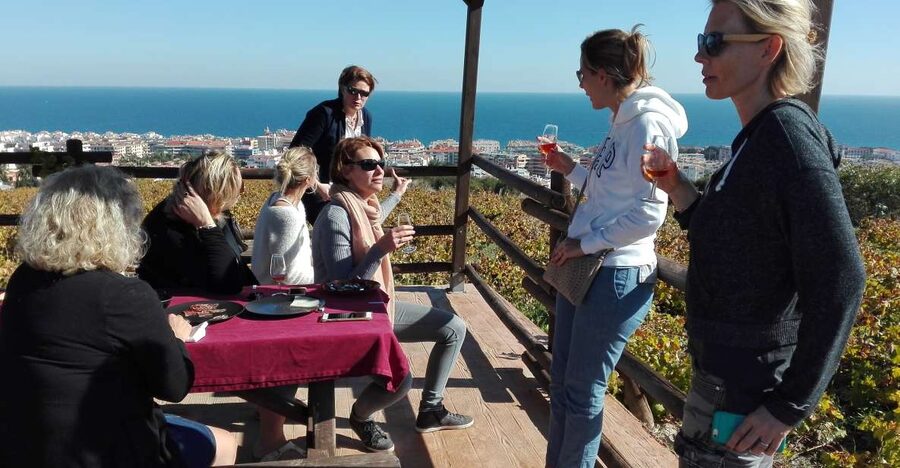 Manilva: Nilva Vineyard, Wine Tasting & Tapas Guided Tour - Starting at Civima, Manilva’s wine museum
