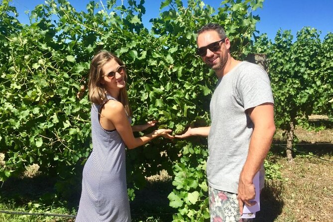 Margaret River Beer & Wine Adventure (departs Dunsborough/Busselton) - Swings and Roundabouts lunch is a real part of the value