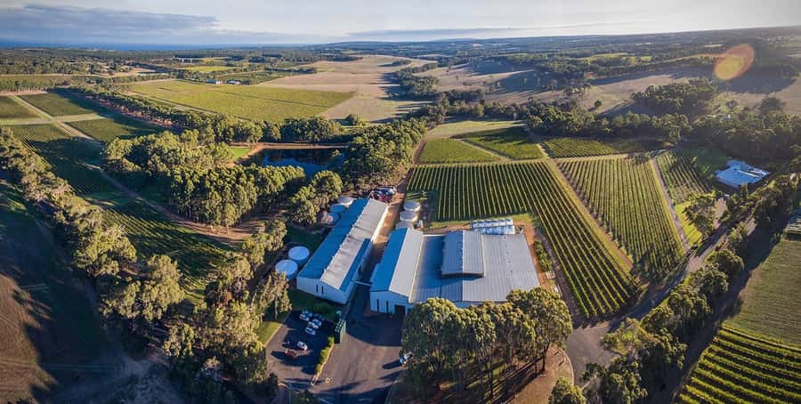 Margaret River: Full-Day Wine Tour - Yahava KoffeeWorks puts coffee before wine