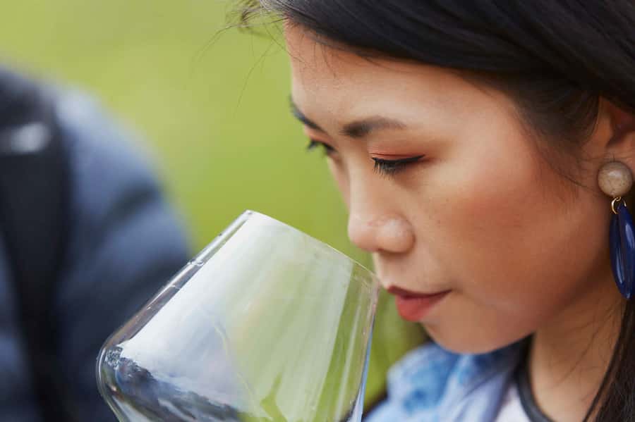 Margaret River: Full-Day Wine Tour - Pickup from Busselton, Dunsborough or Margaret River