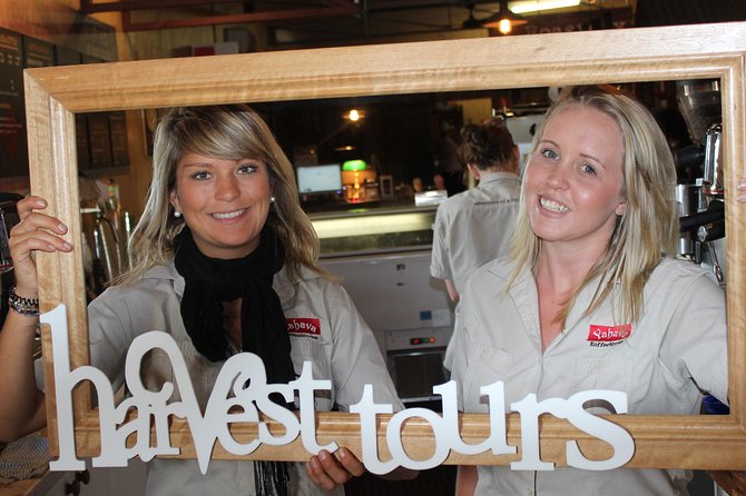 Margaret River Small-Group Full-Day Wine & Food Tour - Two morning wineries, two different settings