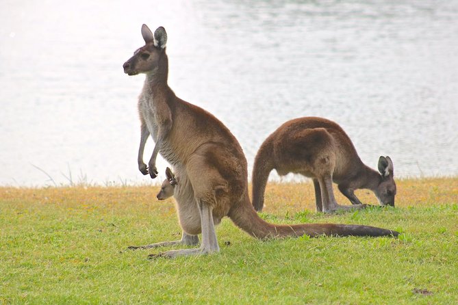 Margaret River Wine and Sights Discovery Tour from Busselton or Dunsborough - The return through Yallingup Hills