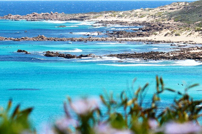 Margaret River Wine and Sights Discovery Tour from Busselton or Dunsborough - Caves Road and the Margaret River wine country