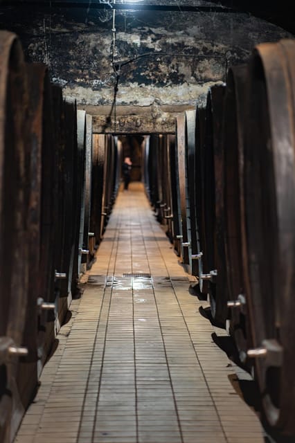 Maribor: Vinag Wine Cellar Tour with Wine tasting and snacks - Why Vinag is worth seeing beneath Maribor