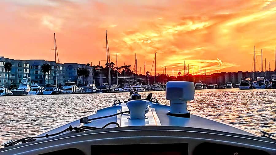 Marina Del Rey Luxury Boat Cruise Wine, Charcuterie Sealions - Wine, cheese, and the included spread