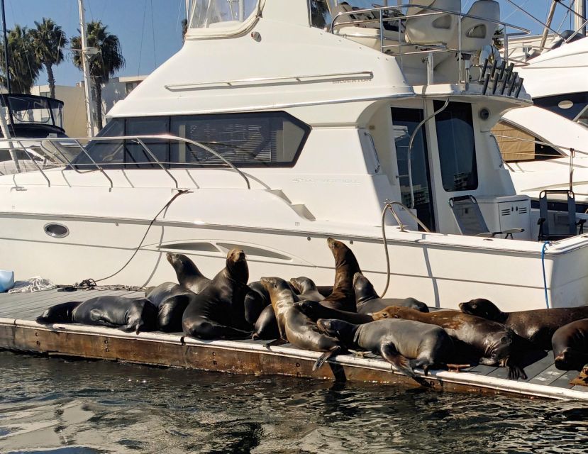 Marina Del Rey Luxury Boat Cruise Wine, Charcuterie Sealions - Why sunset departures are especially appealing