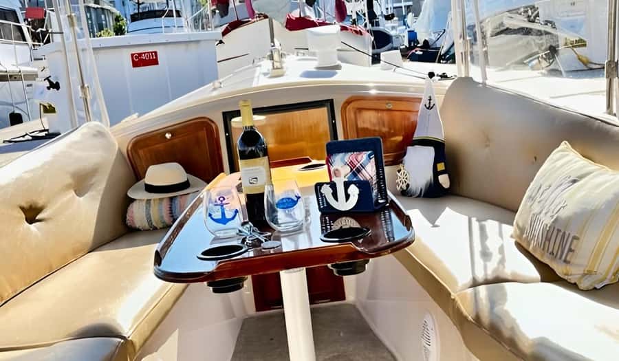 Marina Del Rey Luxury Boat Cruise Wine, Charcuterie Sealions - What the captain adds to the ride
