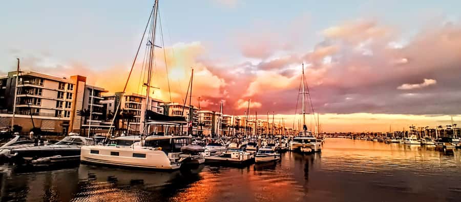 Marina Del Rey Luxury Boat Cruise Wine, Charcuterie Sealions - Is $149 per person a fair price?